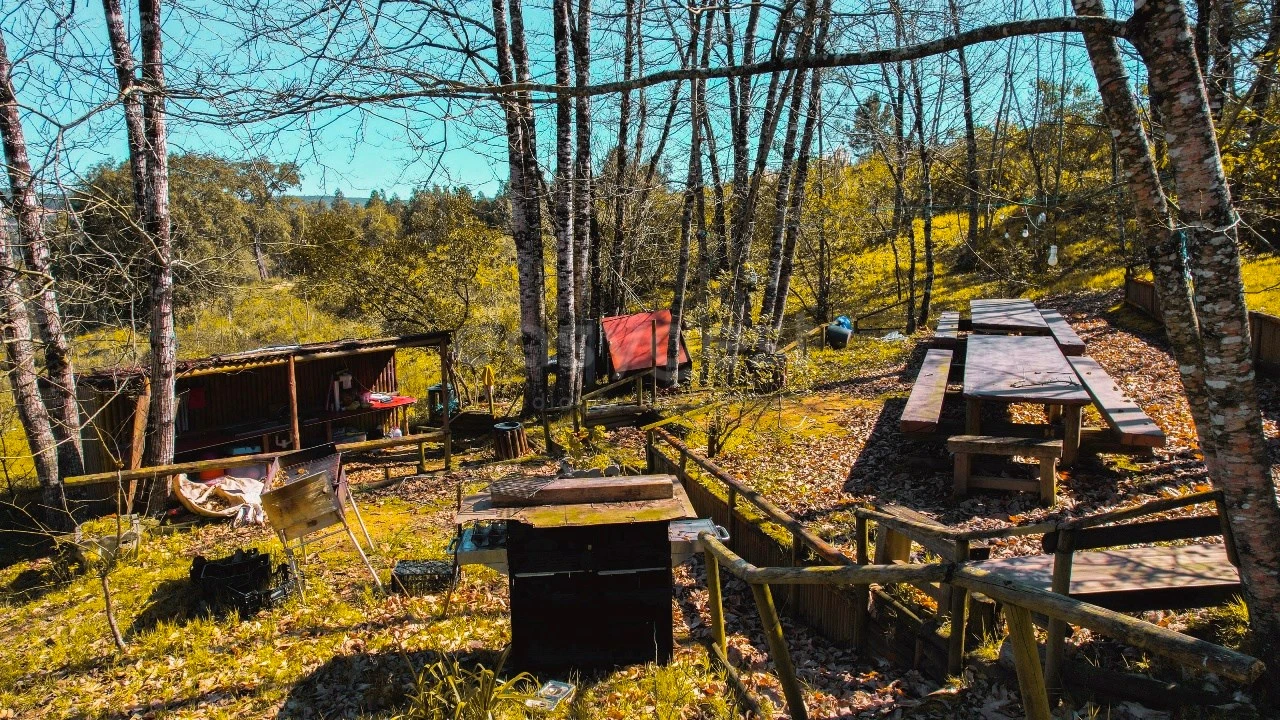Terreno para Venda em Maiorga Foto 18