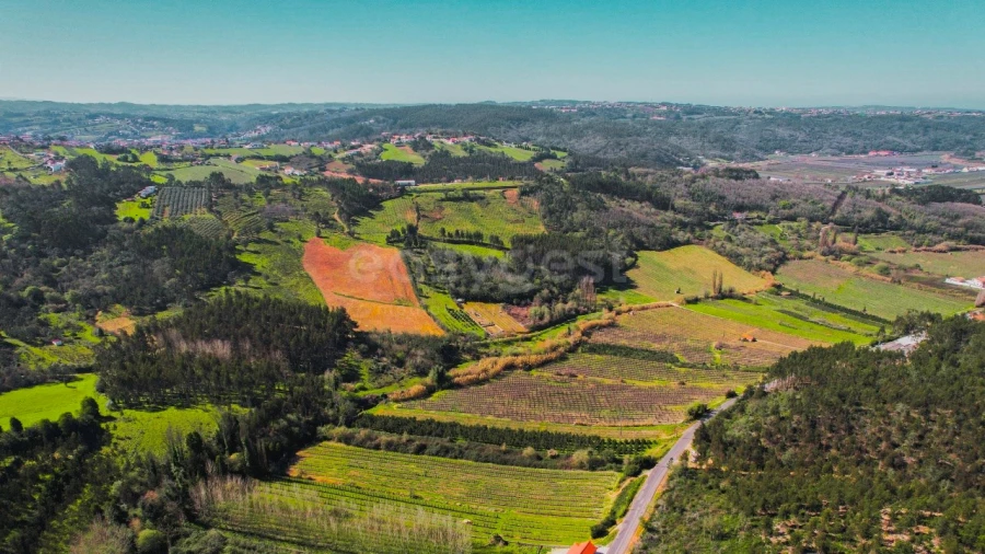 Terreno para Venda em Maiorga Foto 5