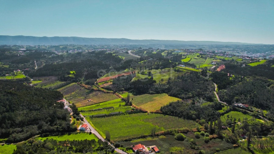 Terreno para Venda em Maiorga Foto 11