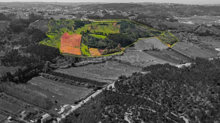 Terreno para Venda em Maiorga Foto 22