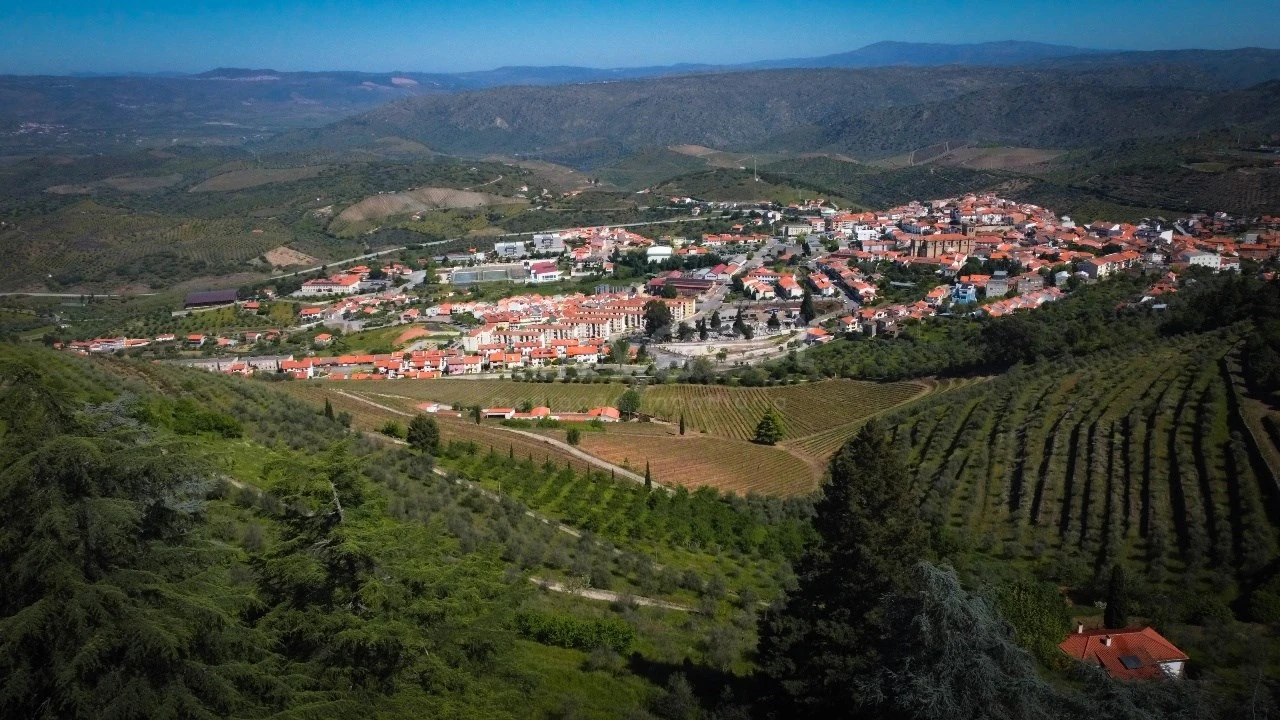 Quinta T14 para Venda em Torre de Moncorvo Foto 1
