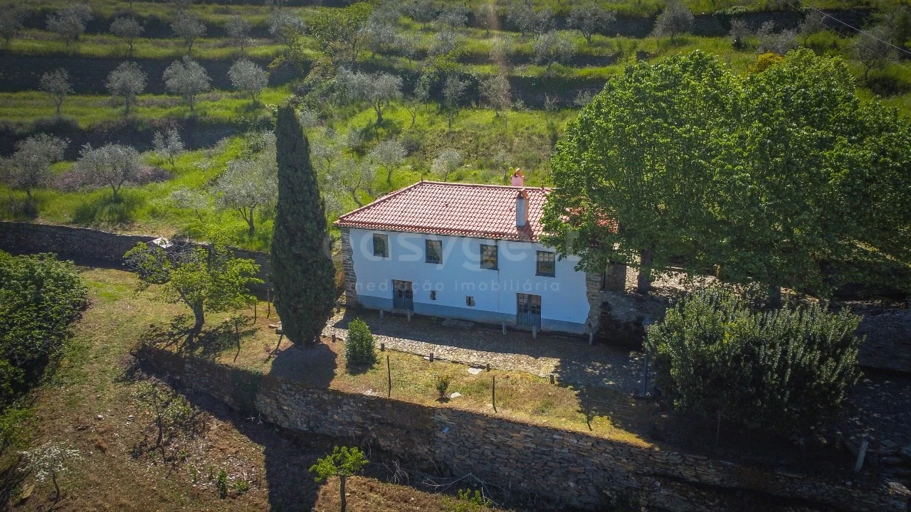 Quinta T14 para Venda em Torre de Moncorvo Foto 2