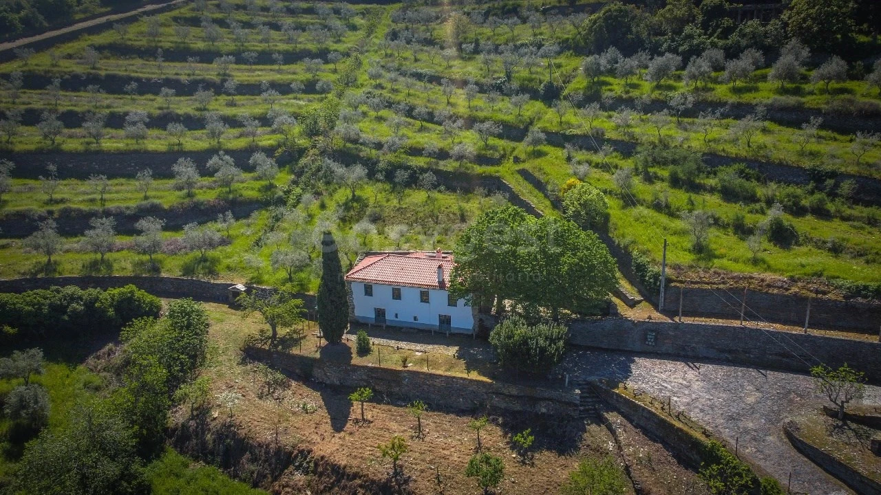 Quinta T14 para Venda em Torre de Moncorvo Foto 4
