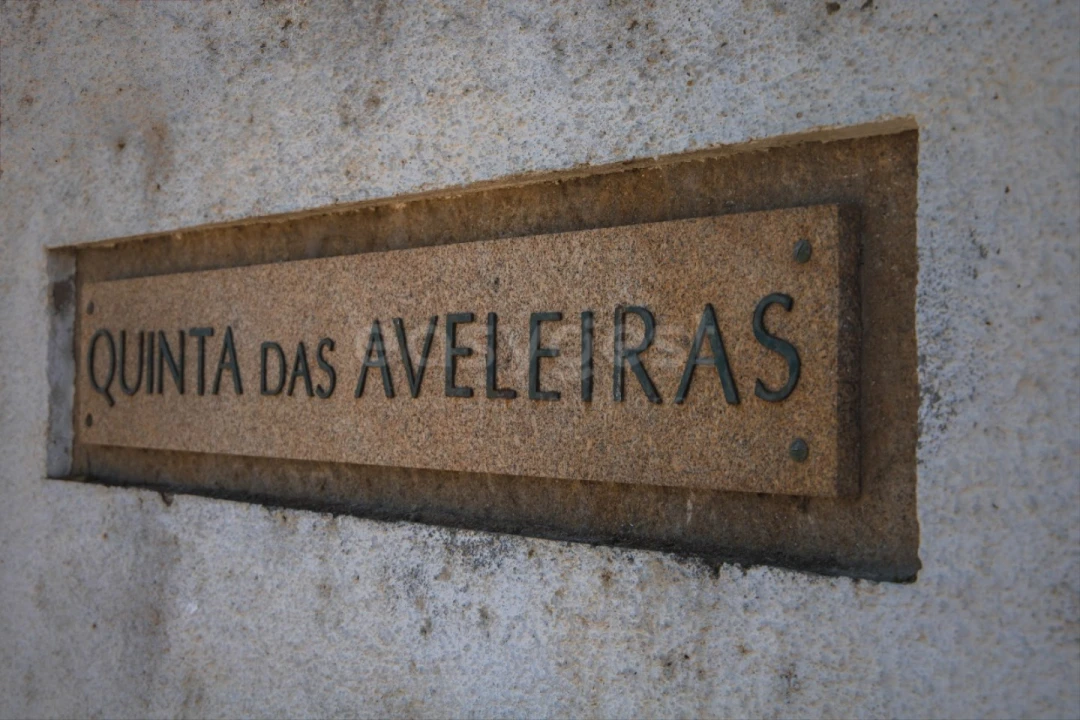 Quinta T14 para Venda em Torre de Moncorvo Foto 5