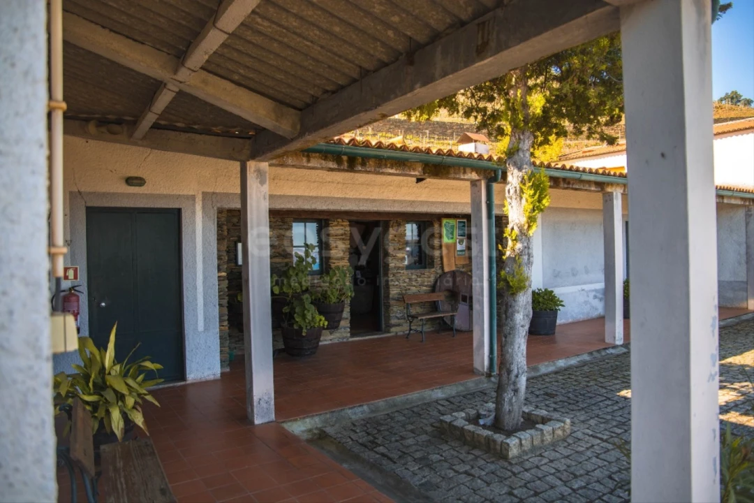 Quinta T14 para Venda em Torre de Moncorvo Foto 8