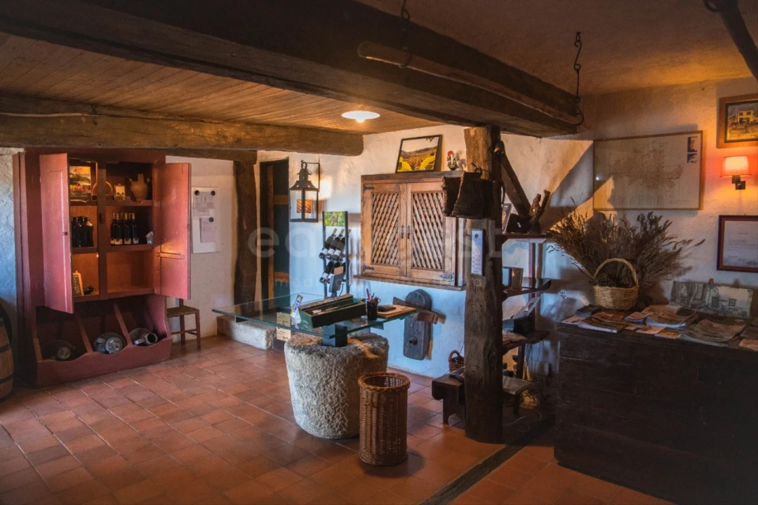 Quinta T14 para Venda em Torre de Moncorvo Foto 10