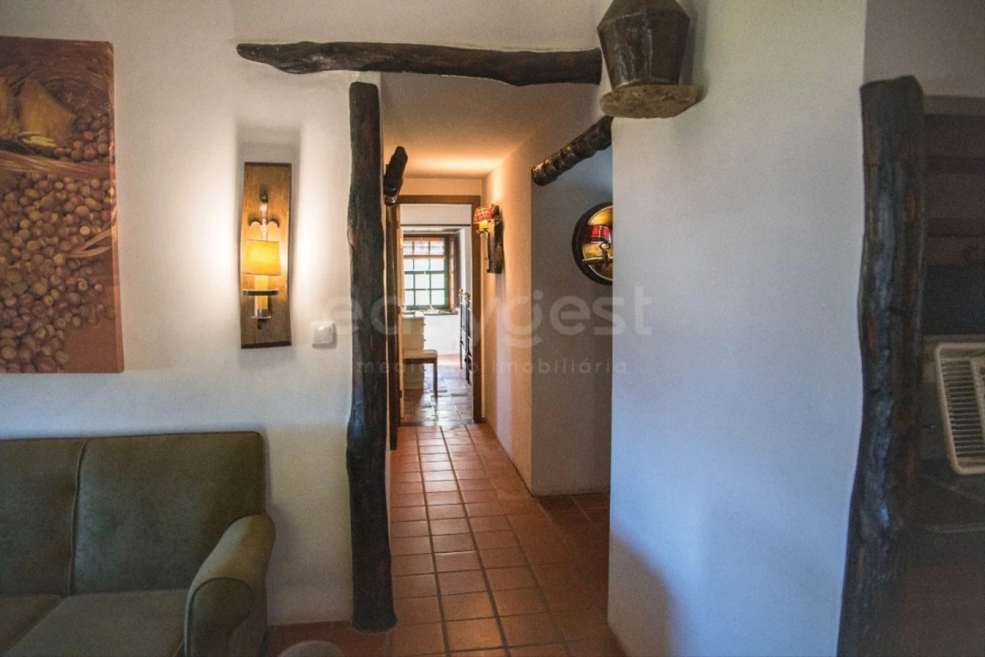 Quinta T14 para Venda em Torre de Moncorvo Foto 20