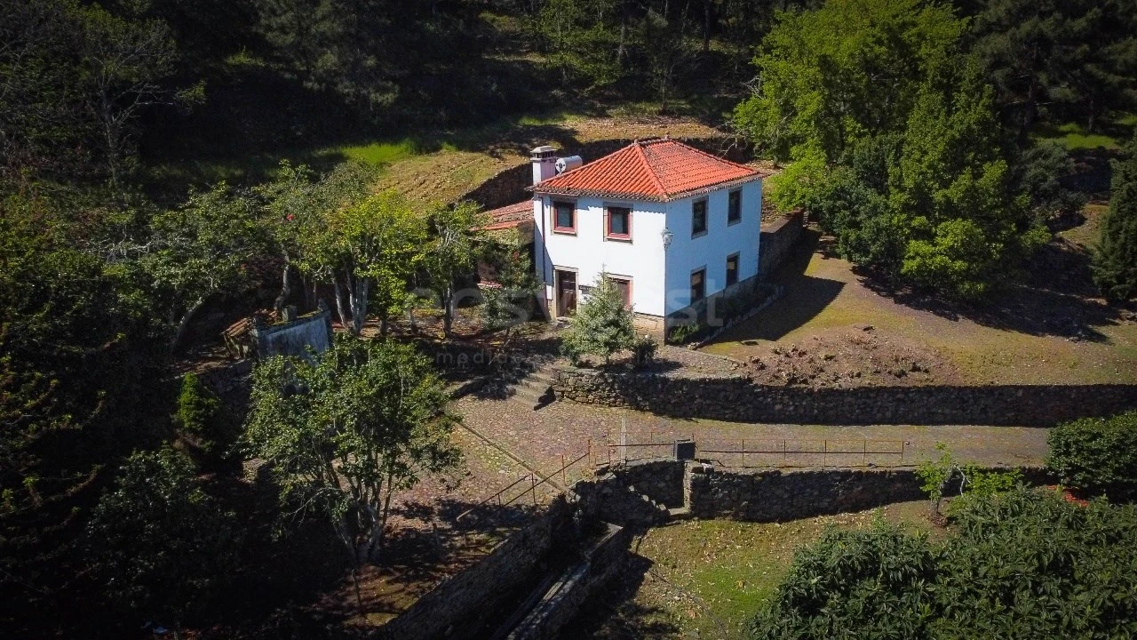 Quinta T14 para Venda em Torre de Moncorvo Foto 28