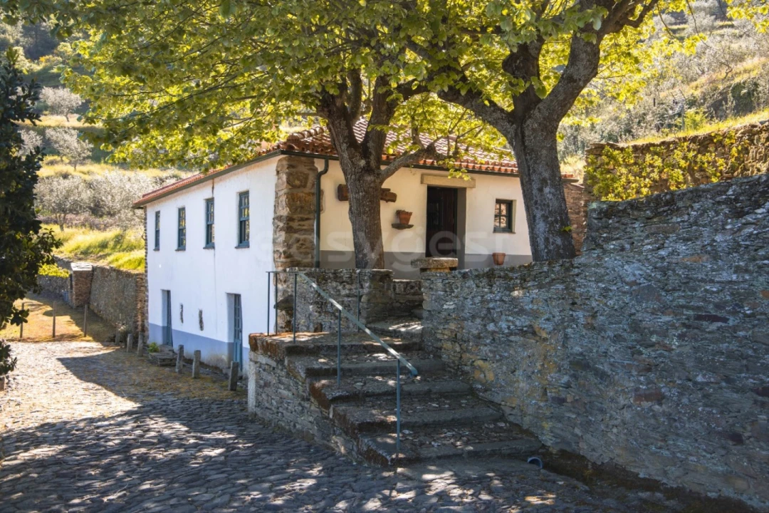 Quinta T14 para Venda em Torre de Moncorvo Foto 29