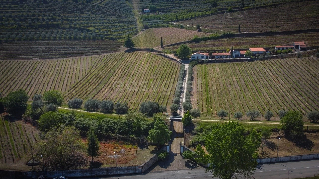 Quinta T14 para Venda em Torre de Moncorvo Foto 33