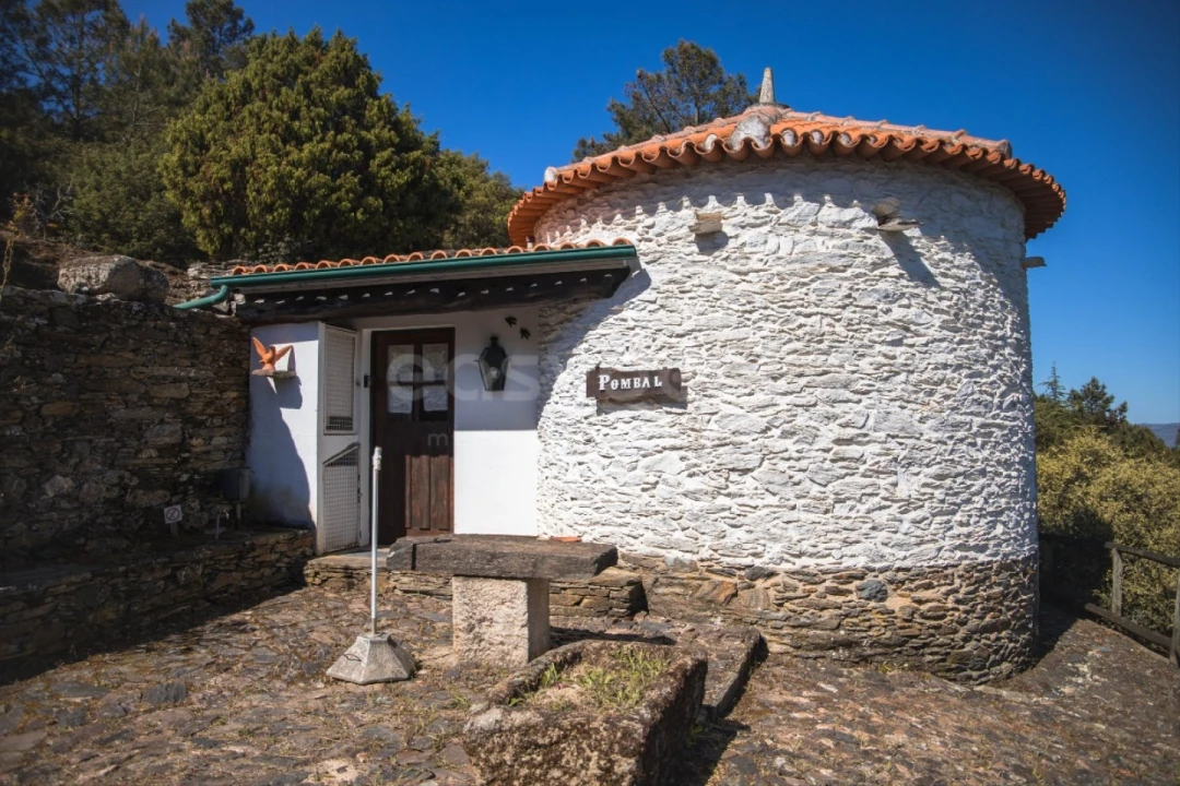 Quinta T14 para Venda em Torre de Moncorvo Foto 35