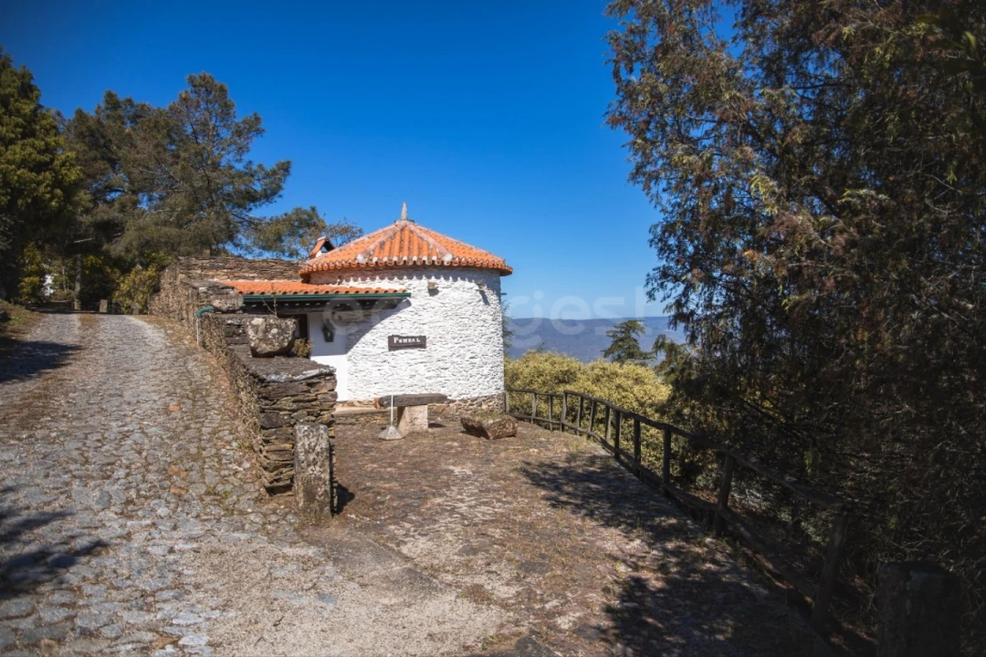 Quinta T14 para Venda em Torre de Moncorvo Foto 36