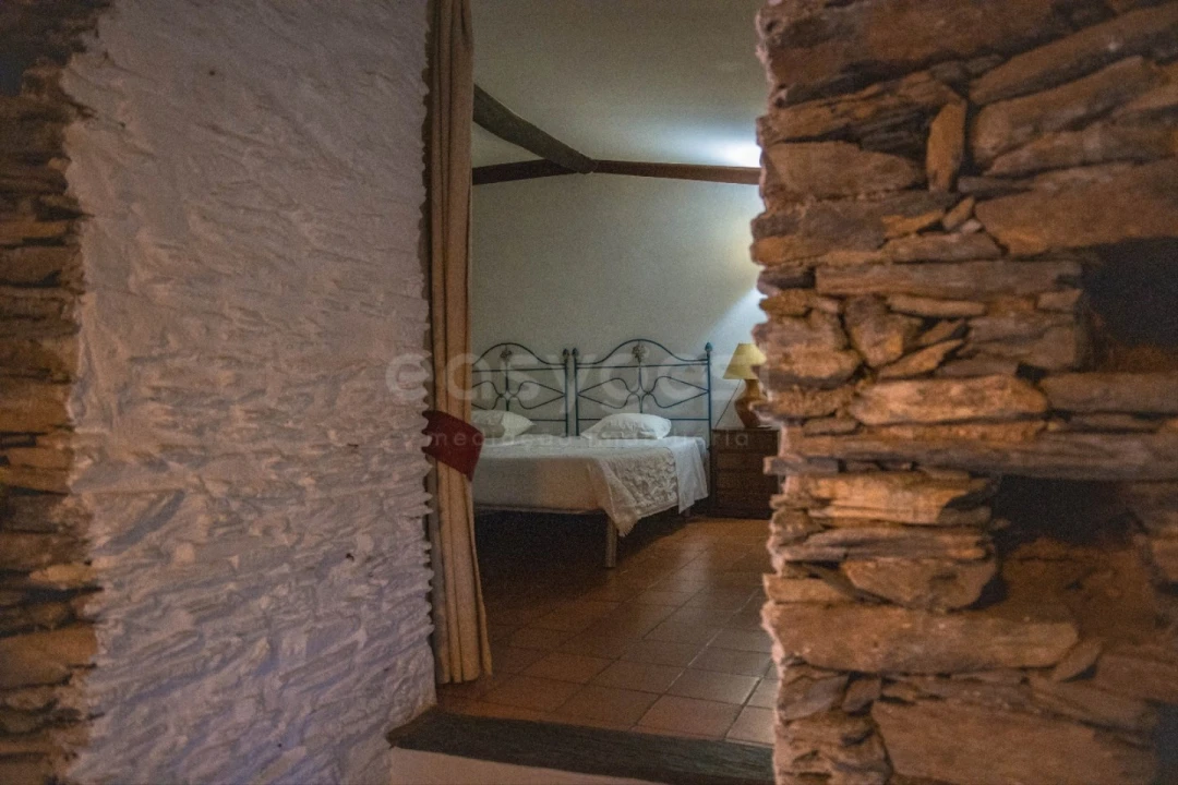 Quinta T14 para Venda em Torre de Moncorvo Foto 39