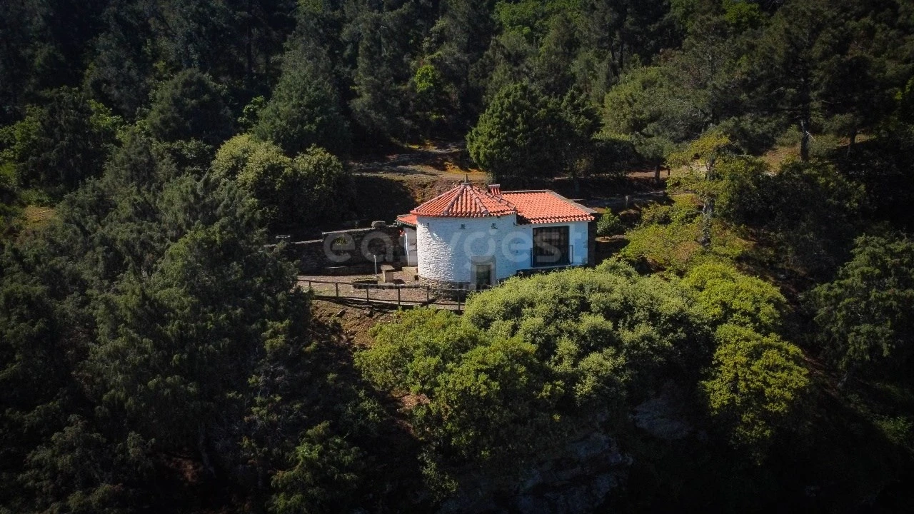 Quinta T14 para Venda em Torre de Moncorvo Foto 44