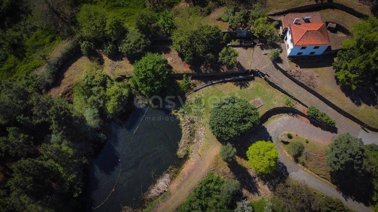 Quinta T14 para Venda em Torre de Moncorvo Foto 46