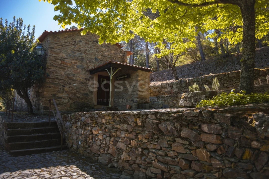 Quinta T14 para Venda em Torre de Moncorvo Foto 50