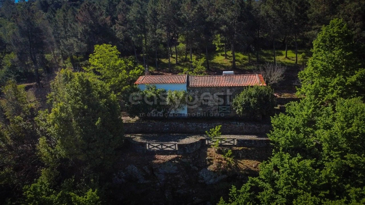 Quinta T14 para Venda em Torre de Moncorvo Foto 52