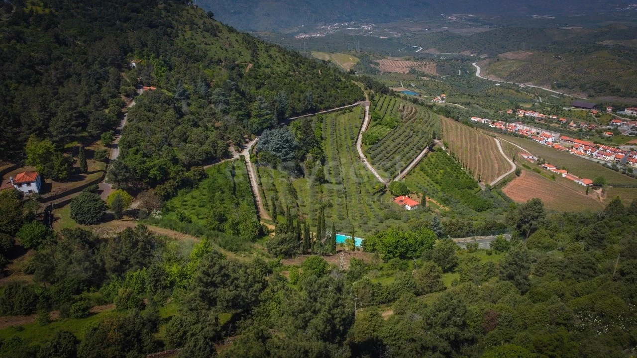 Quinta T14 para Venda em Torre de Moncorvo Foto 53