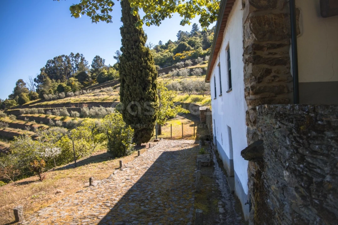 Quinta T14 para Venda em Torre de Moncorvo Foto 57