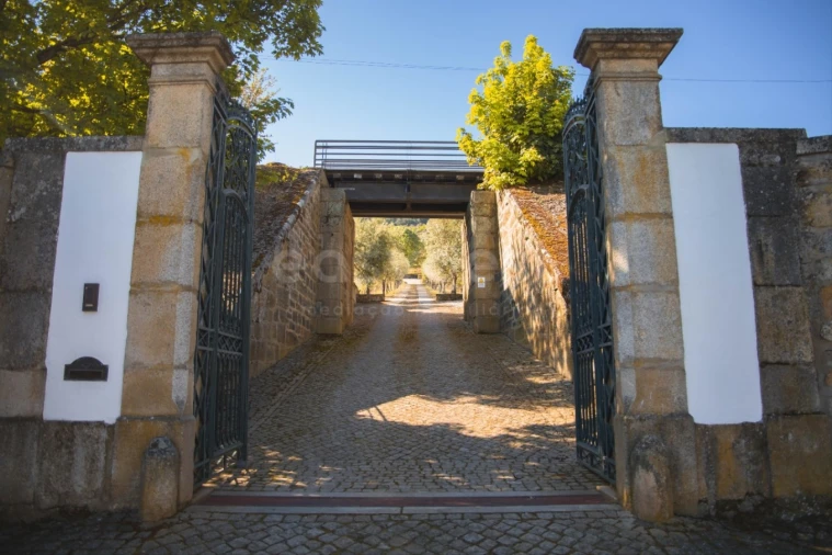 Quinta T14 para Venda em Torre de Moncorvo Foto 7