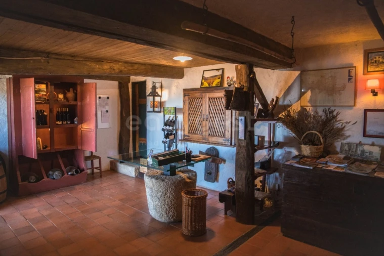 Quinta T14 para Venda em Torre de Moncorvo Foto 10