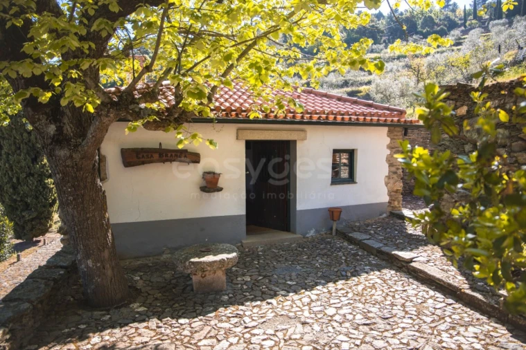 Quinta T14 para Venda em Torre de Moncorvo Foto 12