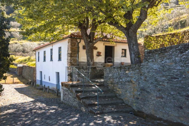 Quinta T14 para Venda em Torre de Moncorvo Foto 29