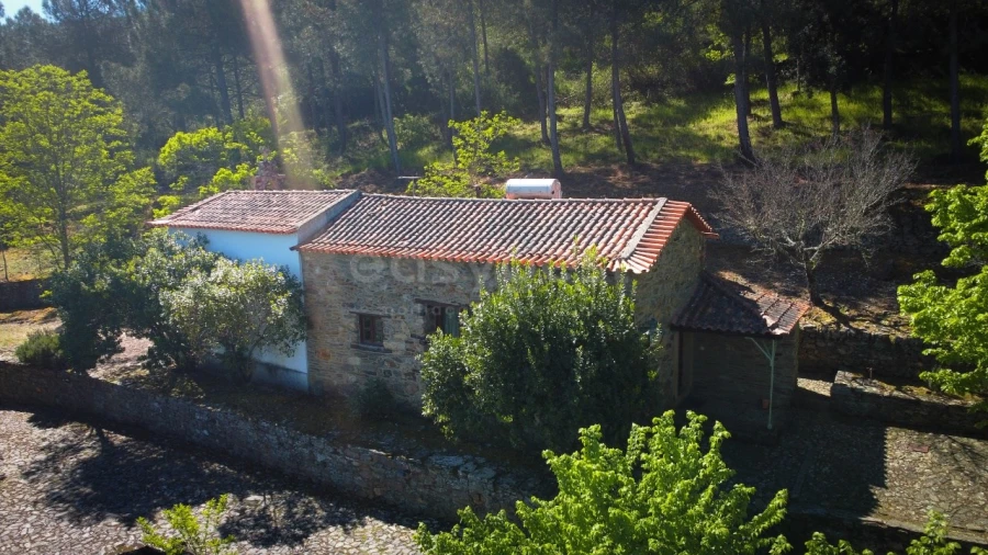 Quinta T14 para Venda em Torre de Moncorvo Foto 45