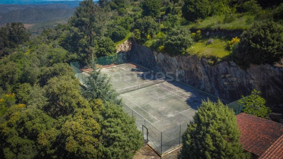 Quinta T14 para Venda em Torre de Moncorvo Foto 47