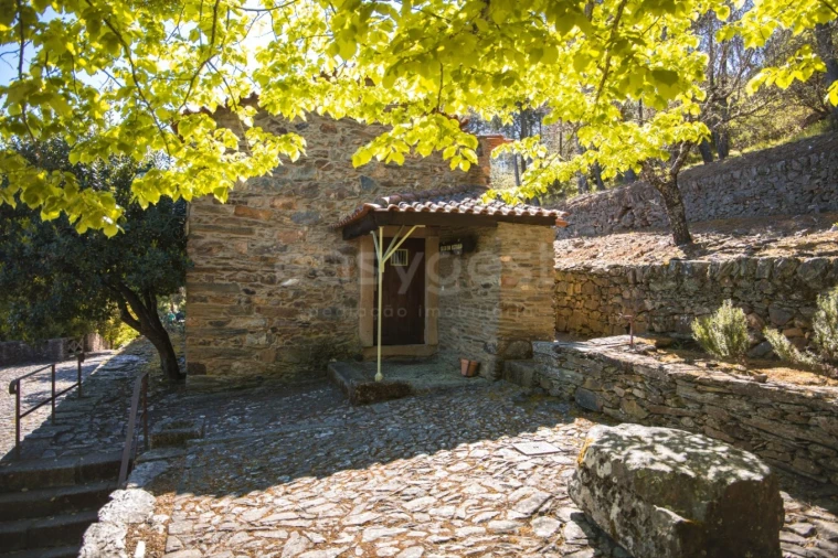 Quinta T14 para Venda em Torre de Moncorvo Foto 49