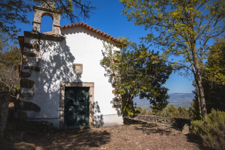 Quinta T14 para Venda em Torre de Moncorvo Foto 51