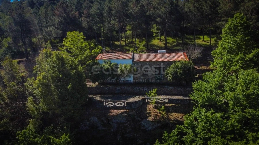 Quinta T14 para Venda em Torre de Moncorvo Foto 52