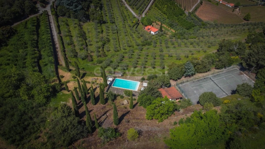 Quinta T14 para Venda em Torre de Moncorvo Foto 56