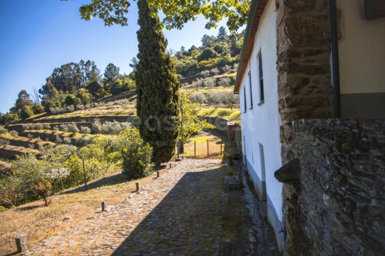 Quinta T14 para Venda em Torre de Moncorvo Foto 57