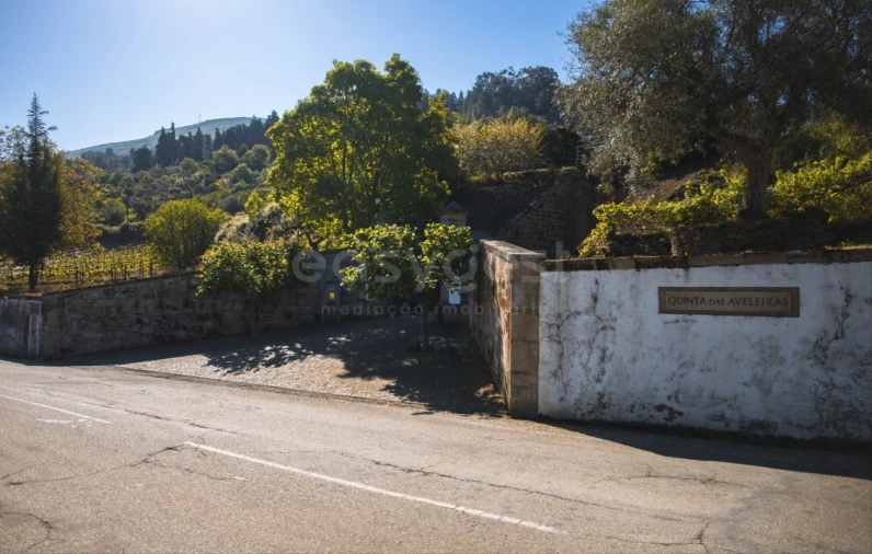 Quinta T14 para Venda em Torre de Moncorvo Foto 59