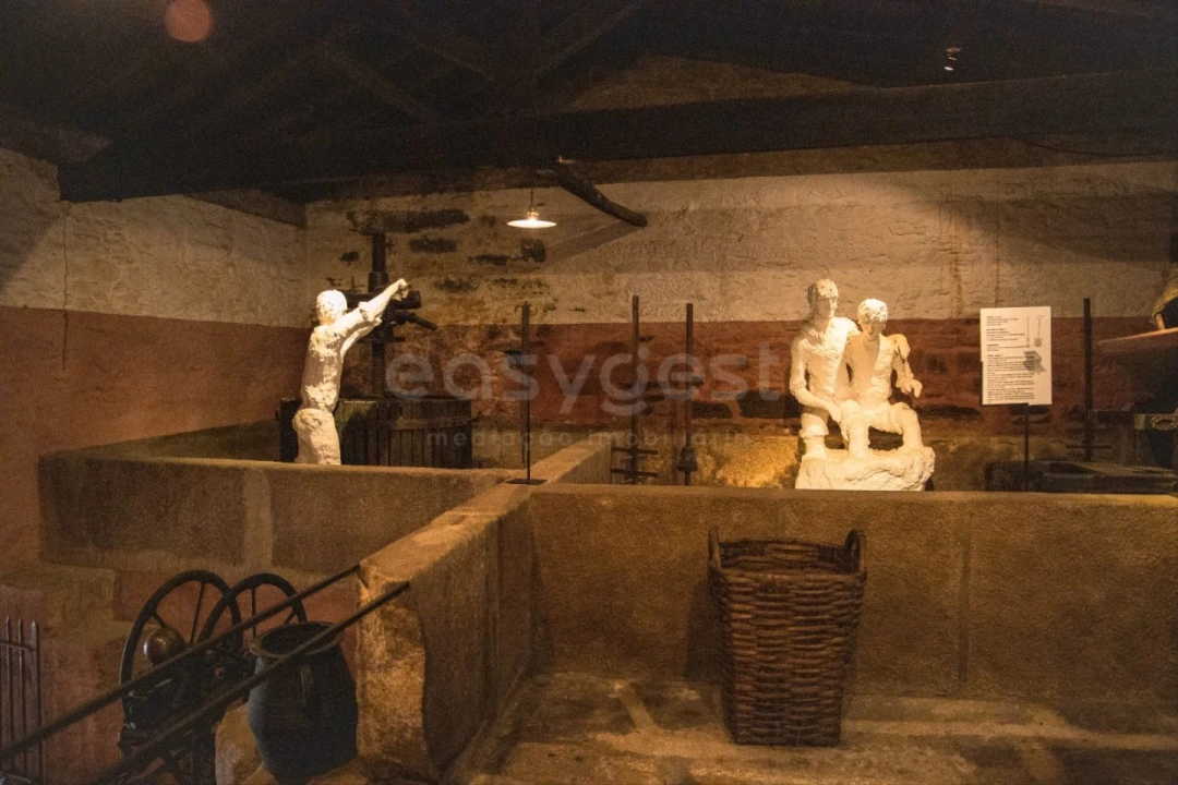 Moradia T7 para Venda em Urros e Peredo dos Castelhanos Foto 44