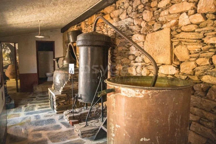 Moradia T7 para Venda em Urros e Peredo dos Castelhanos Foto 38