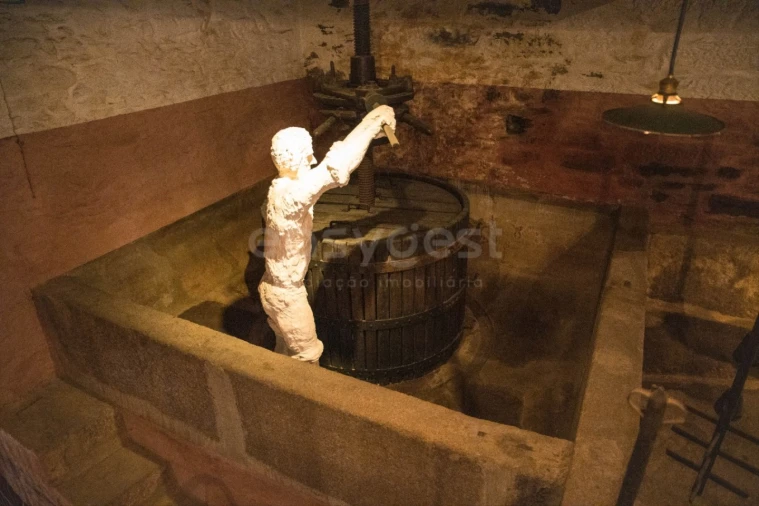 Moradia T7 para Venda em Urros e Peredo dos Castelhanos Foto 46