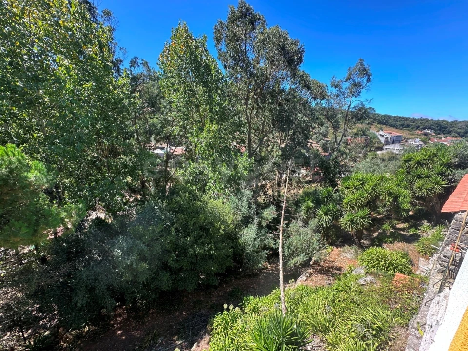 Moradia T4 para Venda em Aljubarrota Foto 30