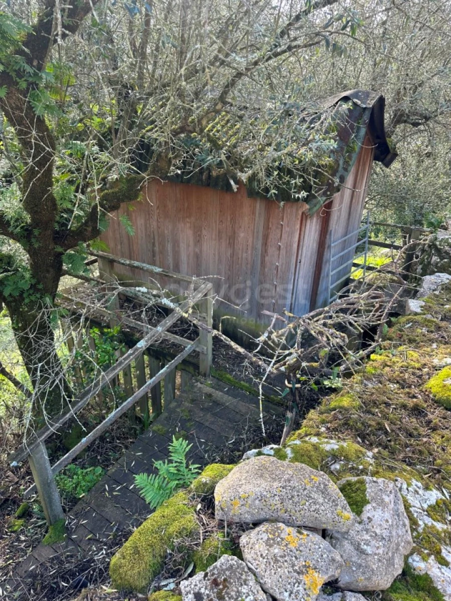 Moradia T4 para Venda em Aljubarrota Foto 29