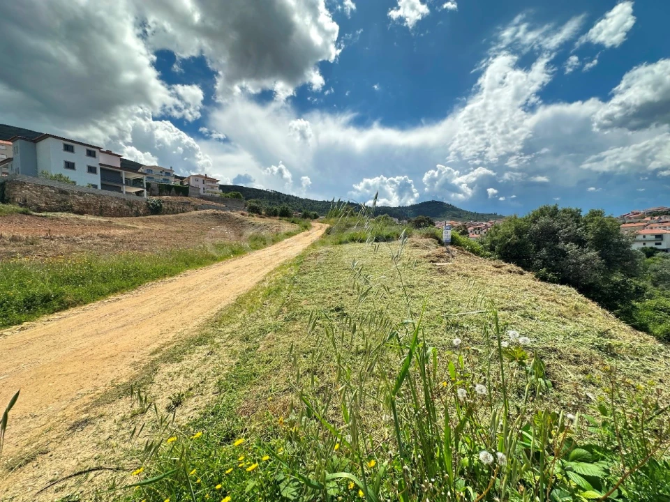 Terreno para Venda em Torre de Moncorvo Foto 5