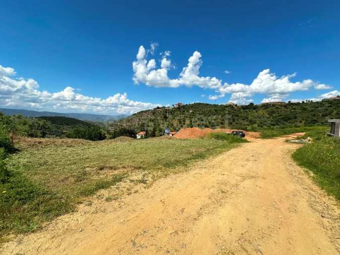 Terreno para Venda em Torre de Moncorvo Foto 8