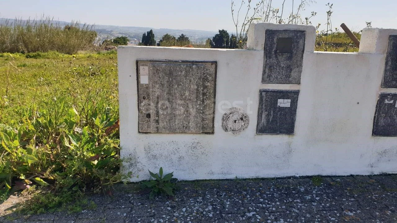 Terreno para Venda em Lourinhã e Atalaia Foto 2