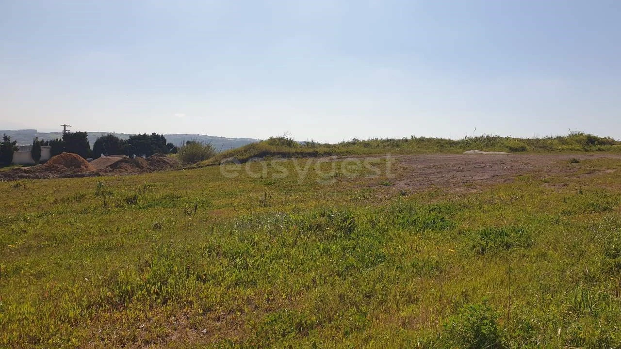 Terreno para Venda em Lourinhã e Atalaia Foto 8