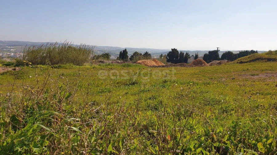 Terreno para Venda em Lourinhã e Atalaia Foto 5