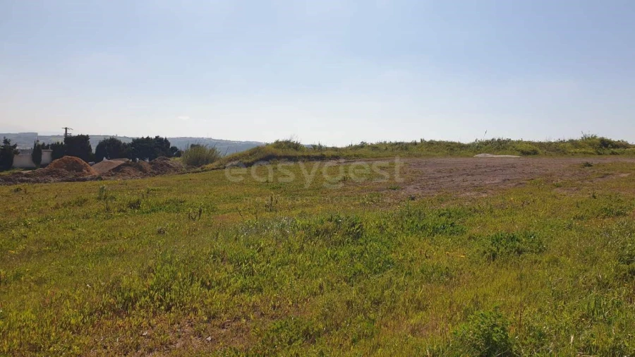 Terreno para Venda em Lourinhã e Atalaia Foto 8