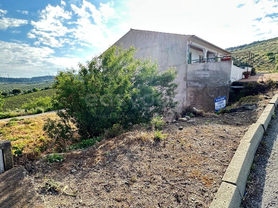 Terreno para Venda em Torre de Moncorvo Foto 9