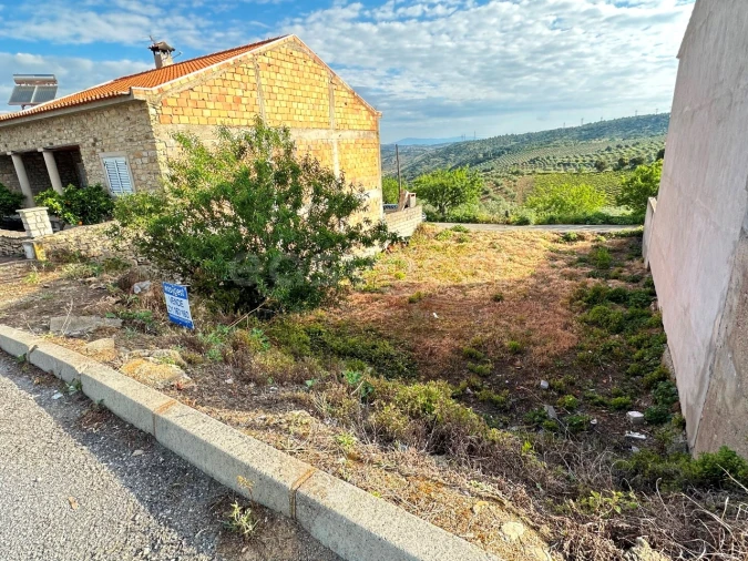 Terreno para Venda em Torre de Moncorvo Foto 5