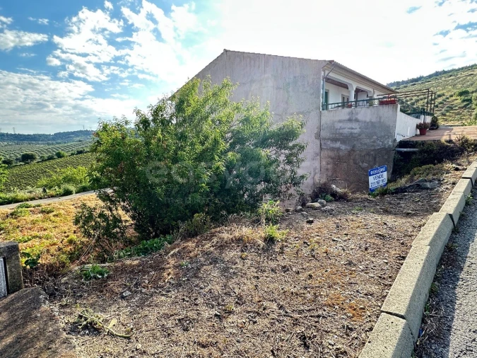 Terreno para Venda em Torre de Moncorvo Foto 9