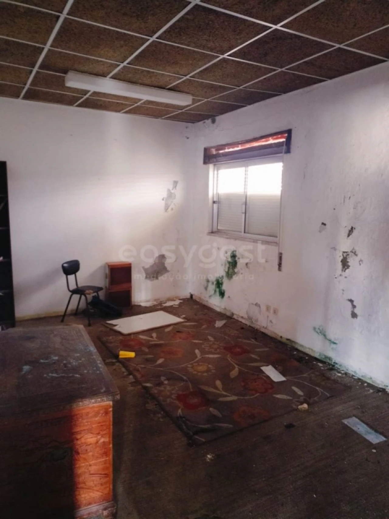 Armazém para Venda em Pegões Foto 9